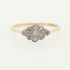 Vintage 18ct Gold & Platinum Diamond Cluster Ring