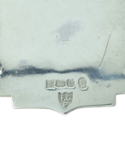 Vintage 1977 Silver Royal Antediluvian Order of Buffaloes Medal