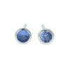 Tanzanite December Birthstone Stud Earrings