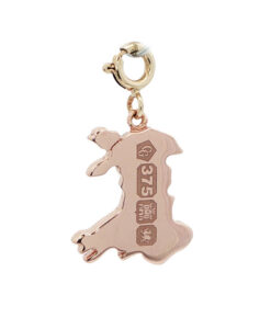 Clogau Welsh Gold 9ct Yellow & Rose Gold Map Charm.