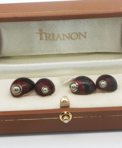 Boxed Trianon Nerita Communis Shell Cufflinks