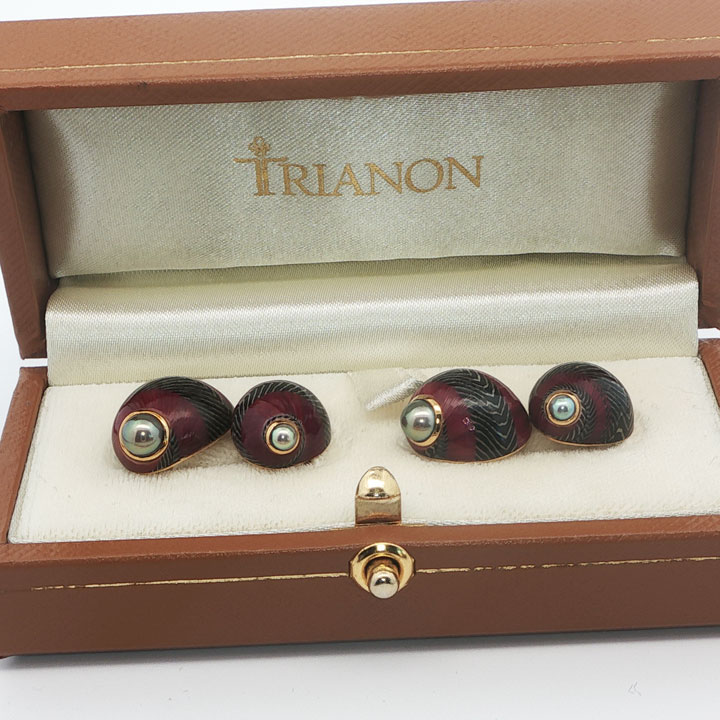 Boxed Trianon Nerita Communis Shell Cufflinks
